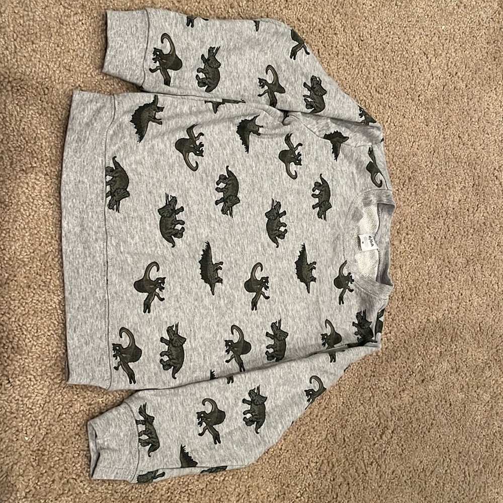Boys’ Dinosaur Sweatshirt - never worn
